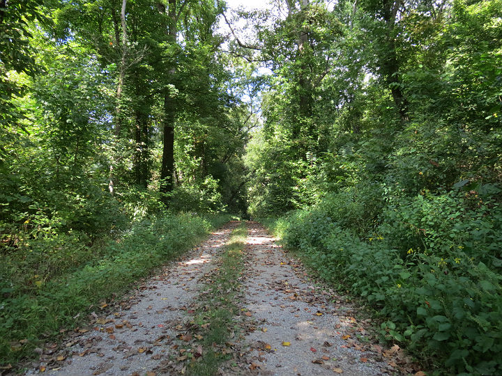 Snake Road